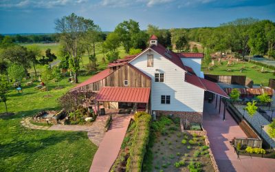 A Night of Wine, Laughter, and Dueling Pianos: Unforgettable Corporate Event at Winery at Bull Run