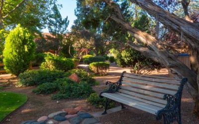 Yinzer Love in Sedona: A Dueling Piano Wedding at Sky Ranch Lodge Resort & Botanical Gardens