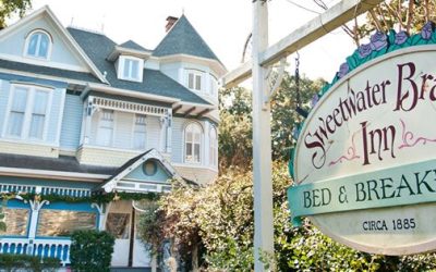 A Harmonica, a Drum Set, and Dueling Pianos: A Wedding to Remember at Sweetwater Branch Inn