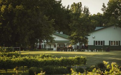 A Symphony of Keys: Dueling Pianos Echo in the Halls of Carlos Creek Winery