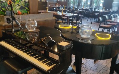 A Night of Dueling Pianos and Holiday Cheer at Timpanos Hyde Park