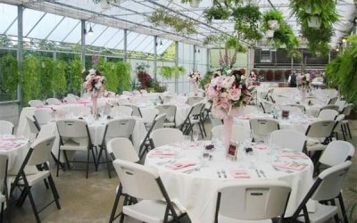 A Greenhouse Serenade: Dueling Pianos Under a Towering Fig Tree at Mohican Gardens